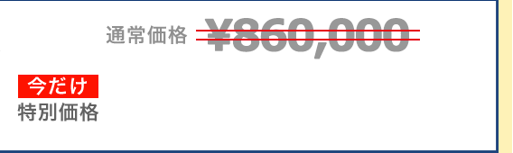 通常価格￥250,000　今だけ特別価格