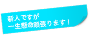 新人ですが一生懸命頑張ります！